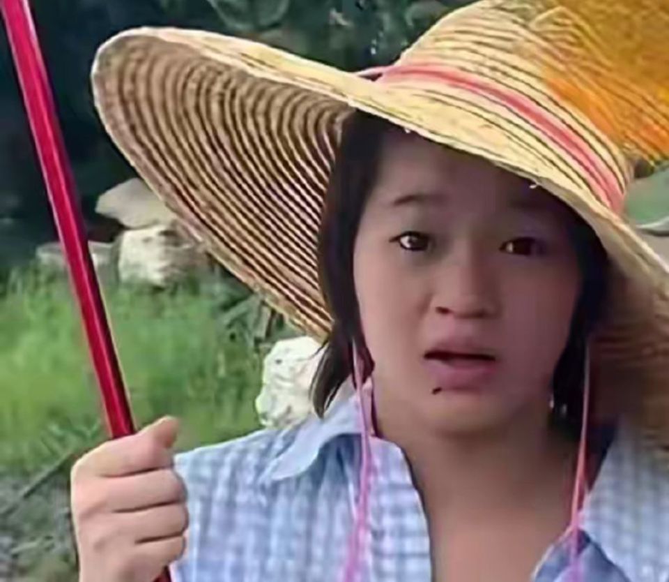 众所周知, 进华在直播, 有网友在弹