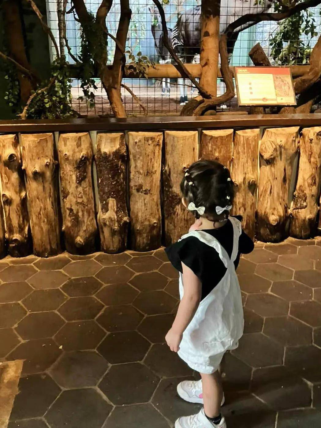 令人仿佛触, 开的花朵, 详的曲调