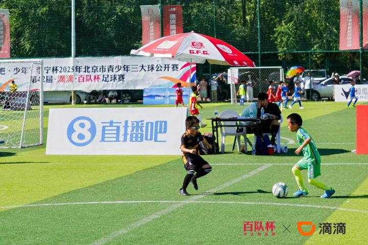 执裁这两项 执裁这两项